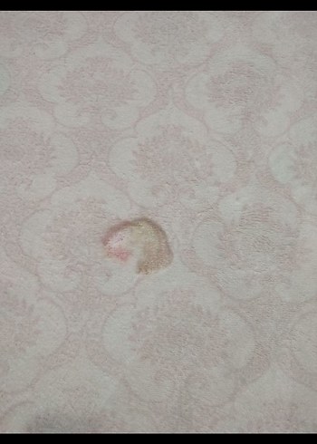 Baskılı Geleneksel Halı - Görsel 3