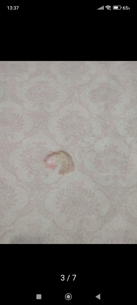 Baskılı Geleneksel Halı - Görsel 3