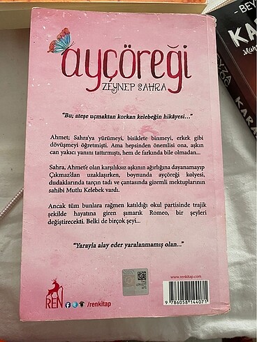  AYÇÖREĞİ VE ELMALI TURTA SET