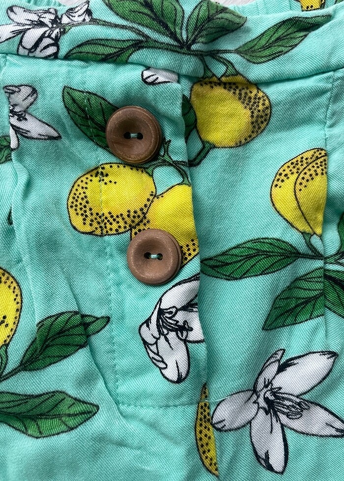 Limon Company Şort - Görsel 2