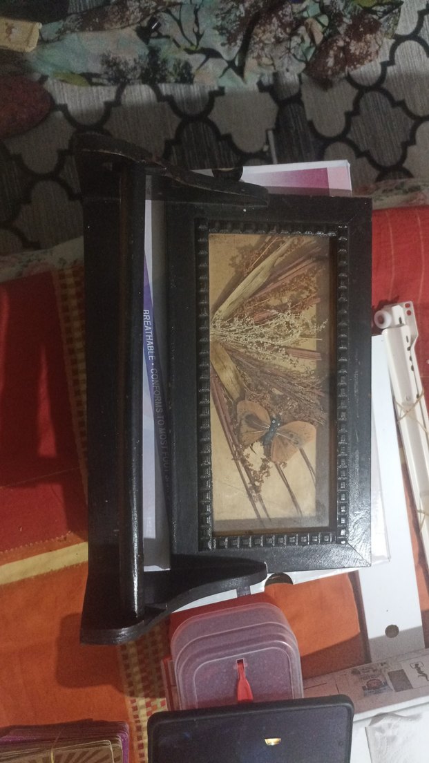 Koyu Kahverengi Çerçeveli Kelebekli Tablo - Görsel 3