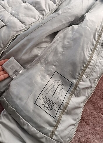 Guess Mont