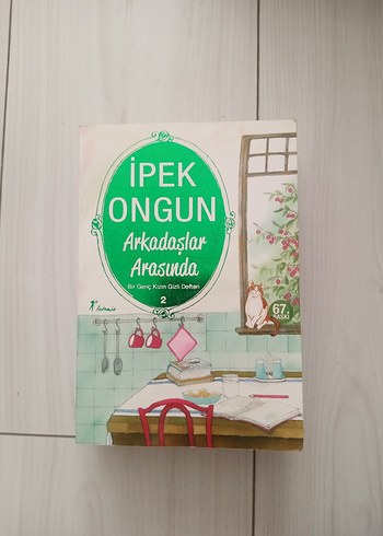 İpek Ongun - Bir Genç Kızın Gizli Defteri