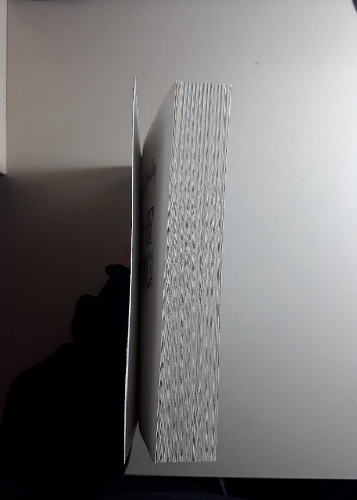 bir yaz boyunca - Görsel 3