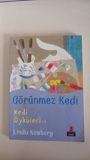 Görünmez kedi