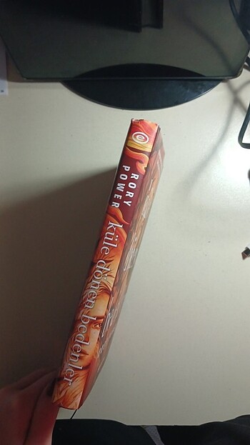 Küle dönen bedenler - Görsel 2