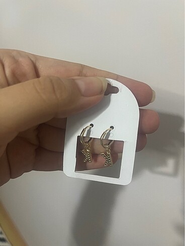 Diğer İki adet küpe