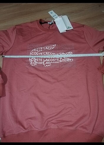 Lacoste Sweatshirt