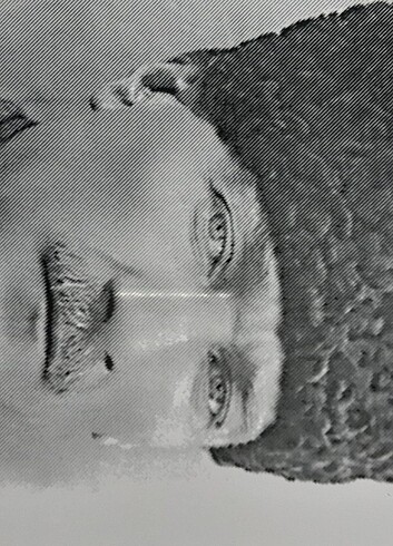 Atatürk resmi