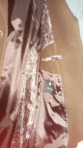 Kahverengi kaban - Görsel 4