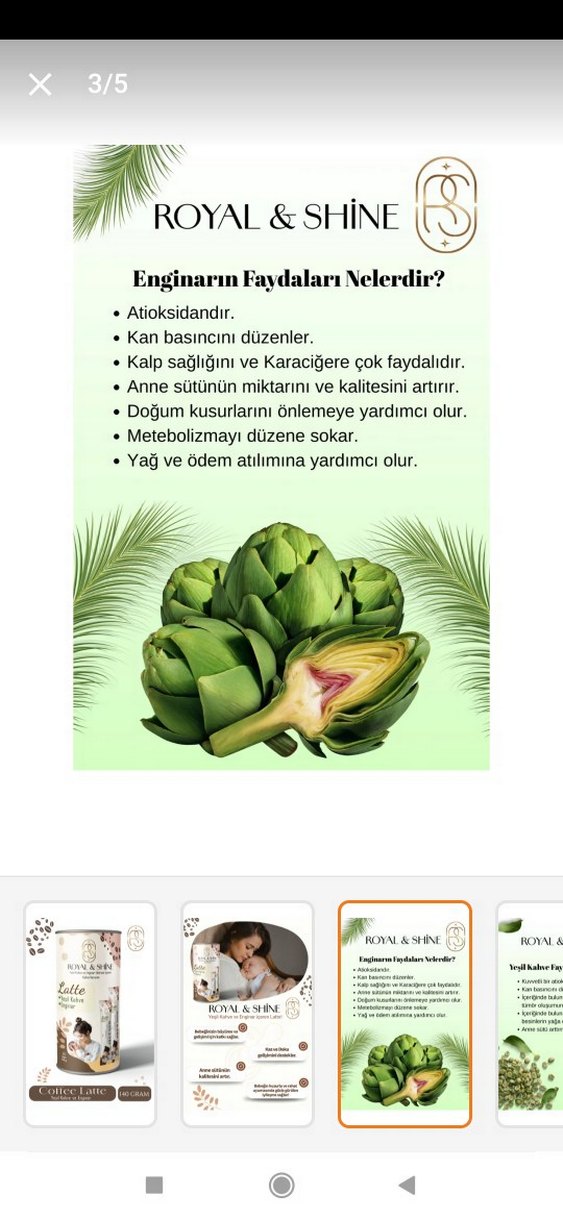 Royal & Shine Latte Yeşil Kahve Enginar 140g - Görsel 3