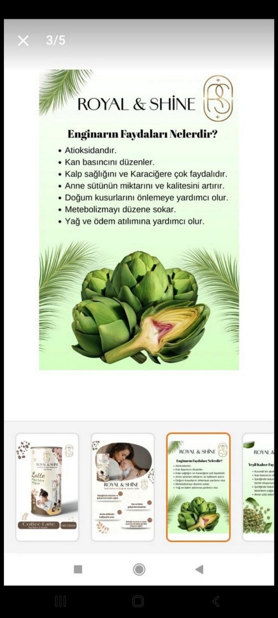 Royal & Shine Yeşil Kahve ve Enginar Latte 140g - Görsel 3