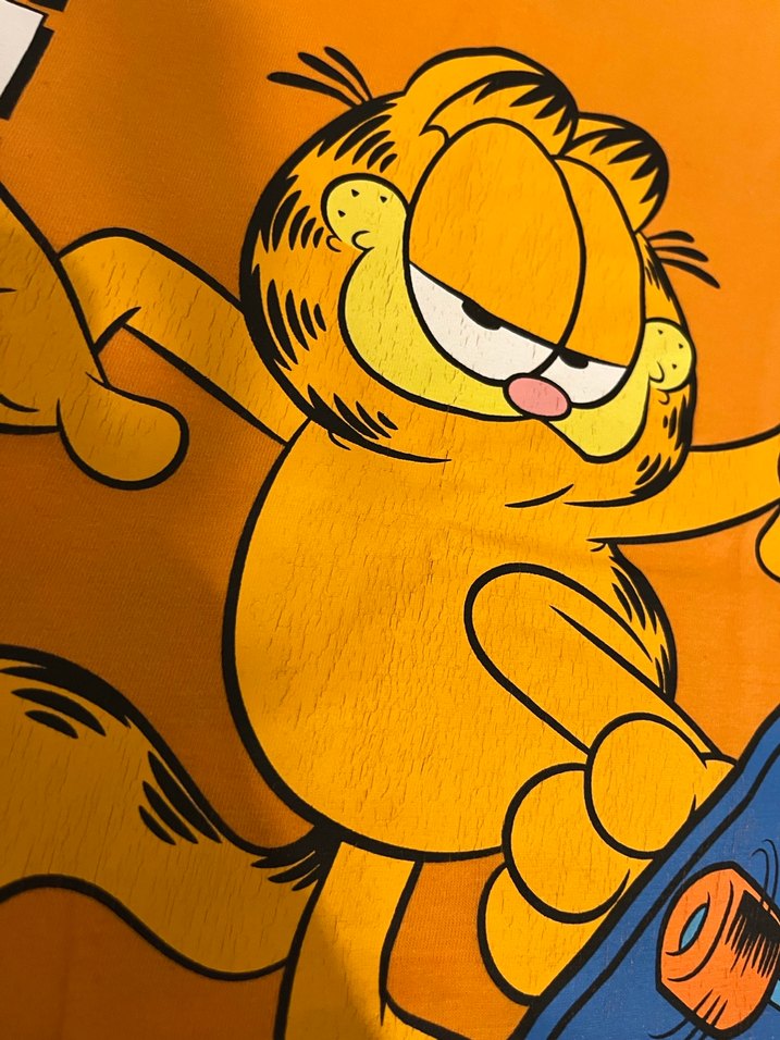 Turuncu Garfield Baskılı Erkek çocuj Tişört - Görsel 3