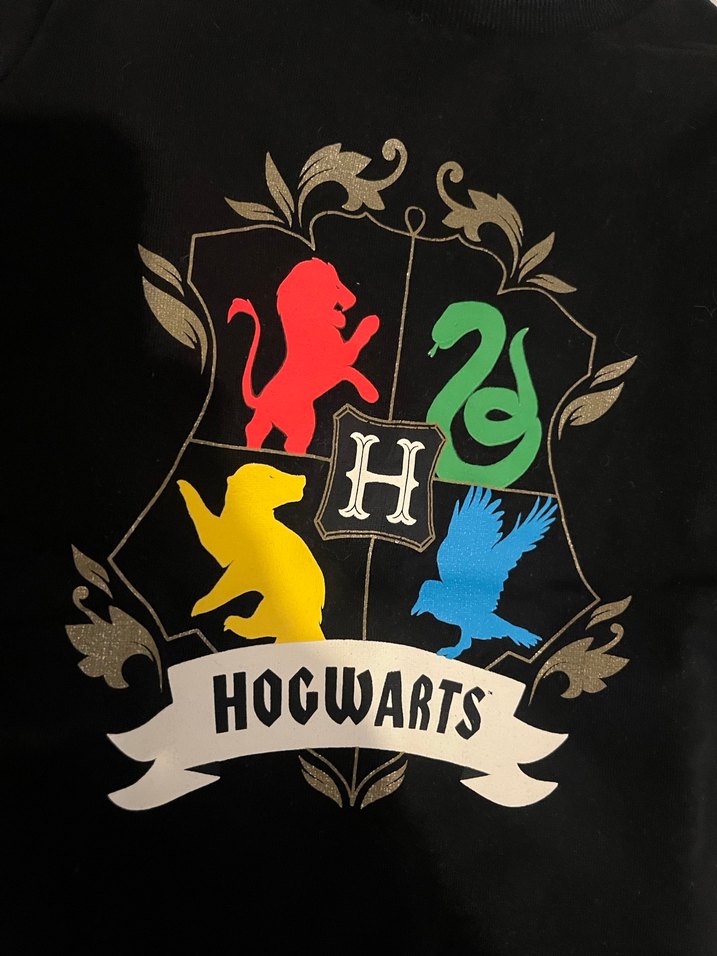 Erkek çocuk sweatshirt - Görsel 2