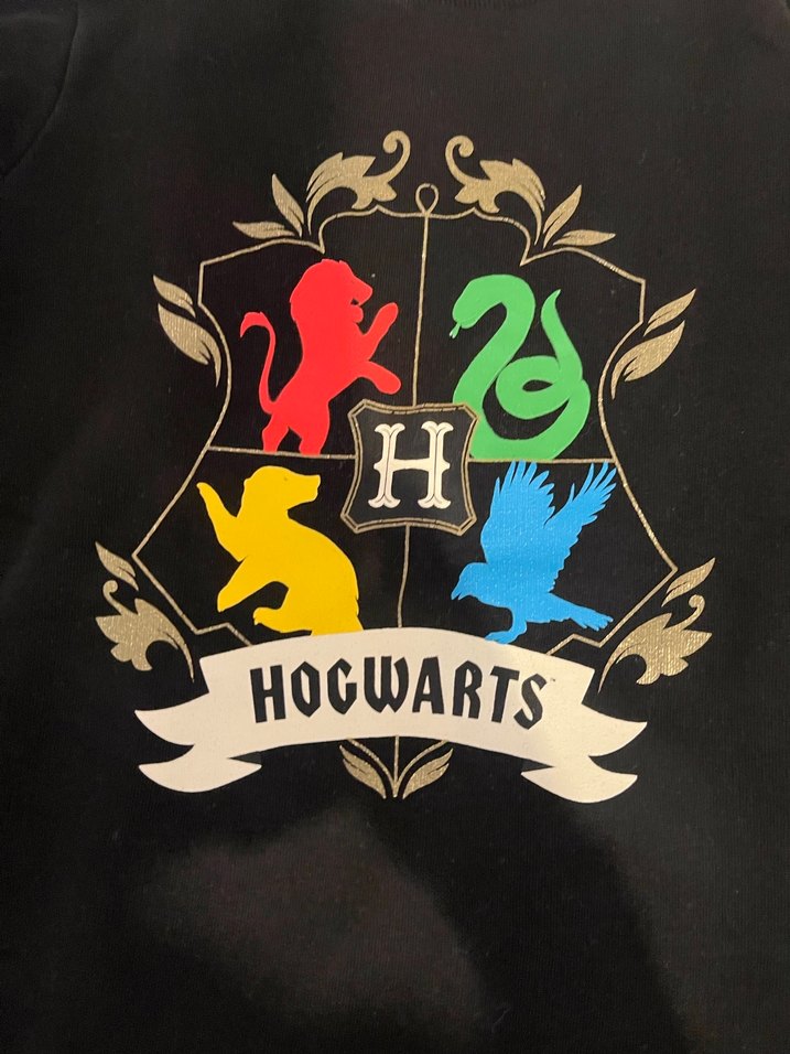 Erkek çocuk sweatshirt - Görsel 5