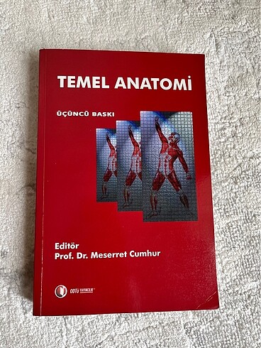 Temel anatomi kitabı
