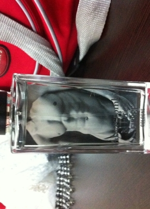 abercrombie fitch fierce 
