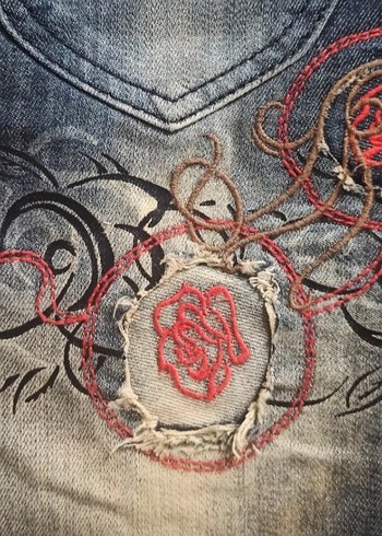 Nakışlı baskılı Kot Şort Replay - Görsel 7