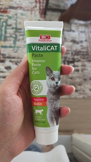 Kedi vitamini 