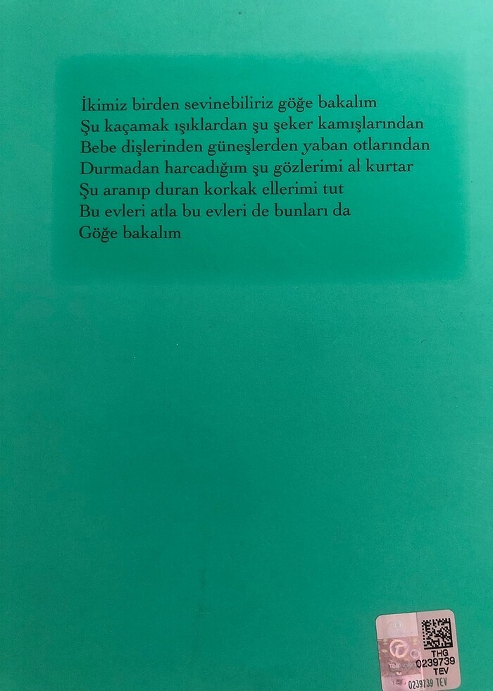 Göğe Bakma Durağı - Turgut Uyar - Görsel 2