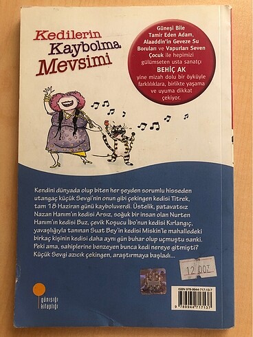 Kedilerin Kaybolma Mevsimi - Behiç Ak