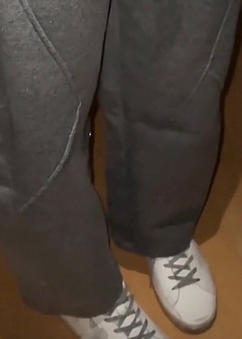 Golden goose - Görsel 2