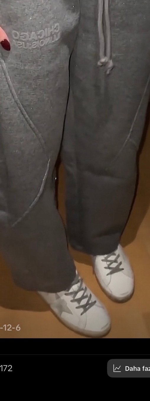 Golden goose - Görsel 2