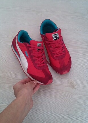 Puma ayk