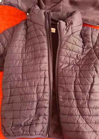 Erkek Çocuk laciverte Fermuarlı Mont - Görsel 2