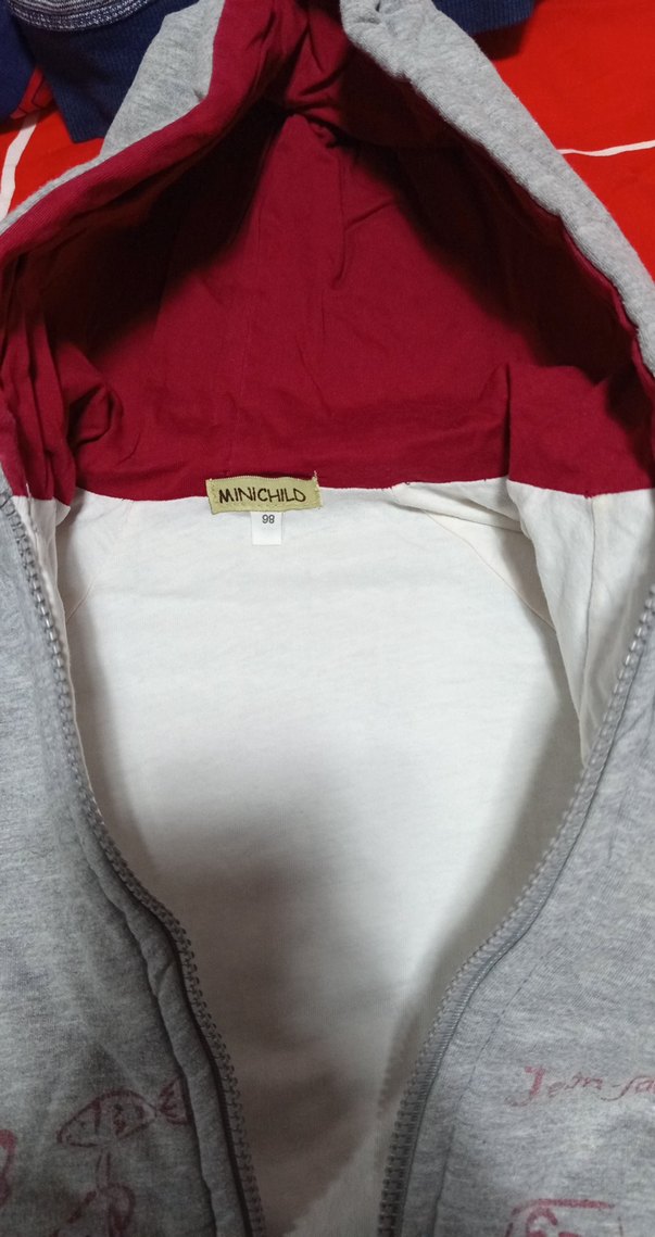 Gri Kapüşonlu Erkek Çocuk Sweatshirt - Görsel 2