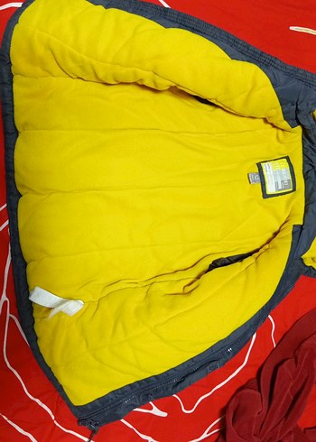 Erkek Çocuk Kapüşonlu Renkli Fermuarlı Mont - Görsel 2