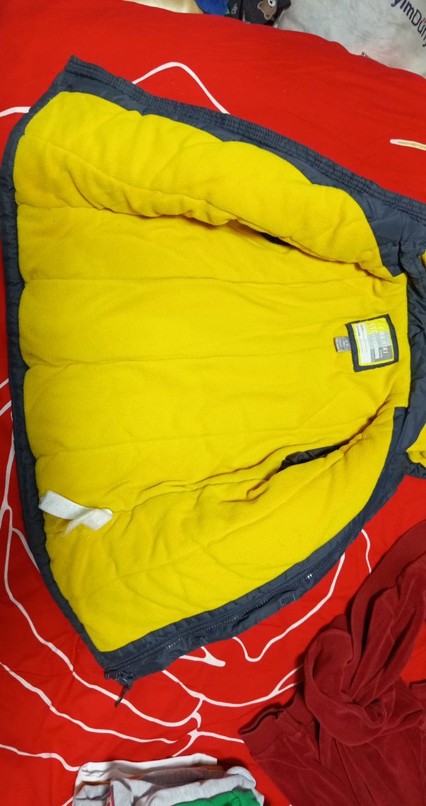 Erkek Çocuk Kapüşonlu Renkli Fermuarlı Mont - Görsel 2