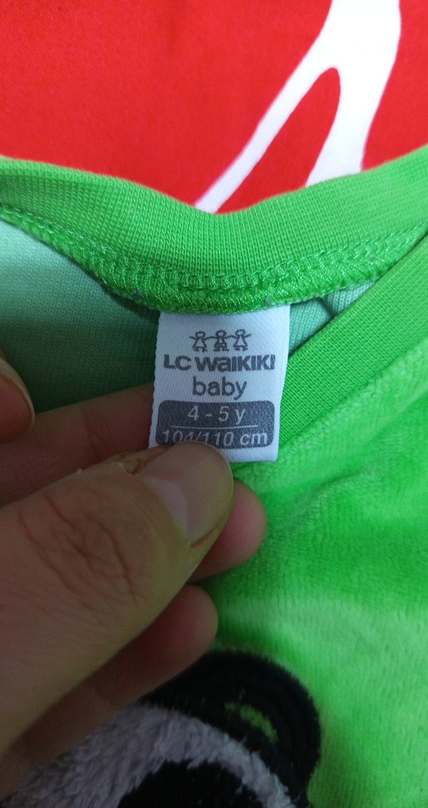 Erkek Çocuk Yeşil Panda Baskılı Sweatshirt - Görsel 2