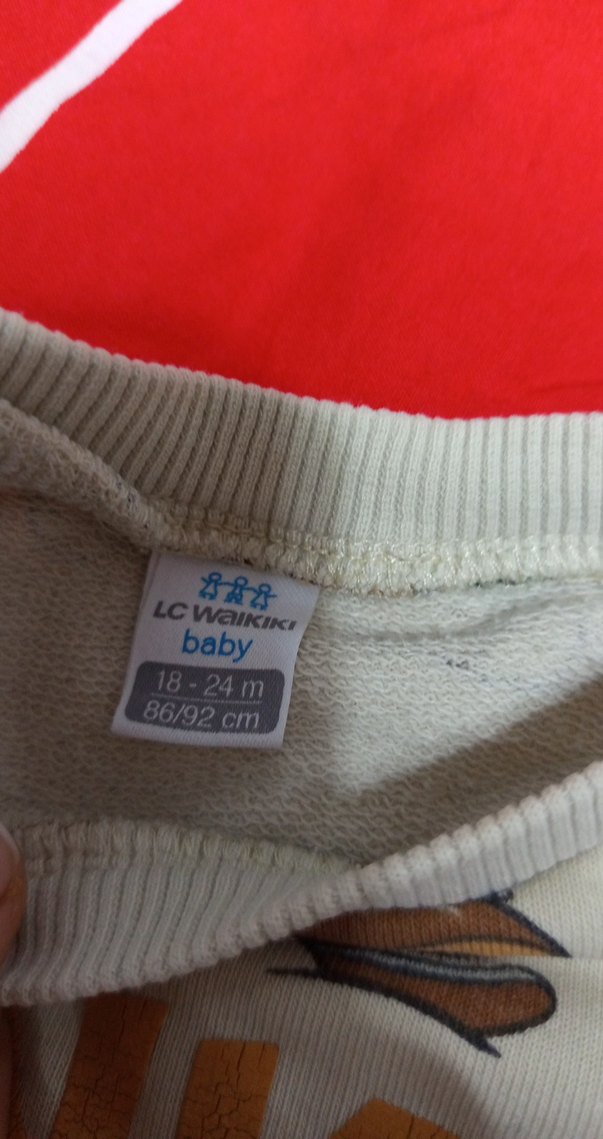 Kahverengi Baskılı Erkek Sweatshirt - Görsel 2