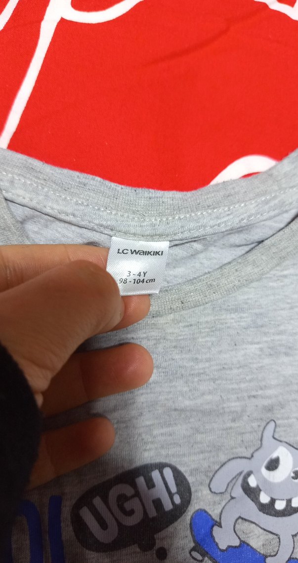 Gri Baskılı Kapüşonsuz Erkek Sweatshirt - Görsel 2