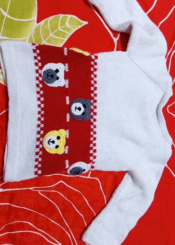 erkek Kız Çocuk Nakışlı Uzun Kollu Triko Hırka - Görsel 3