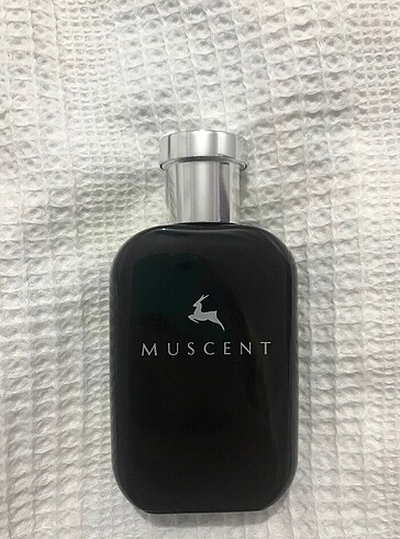 Beden Renk ROBERTO CAVALLİ - paradiso-50 ml