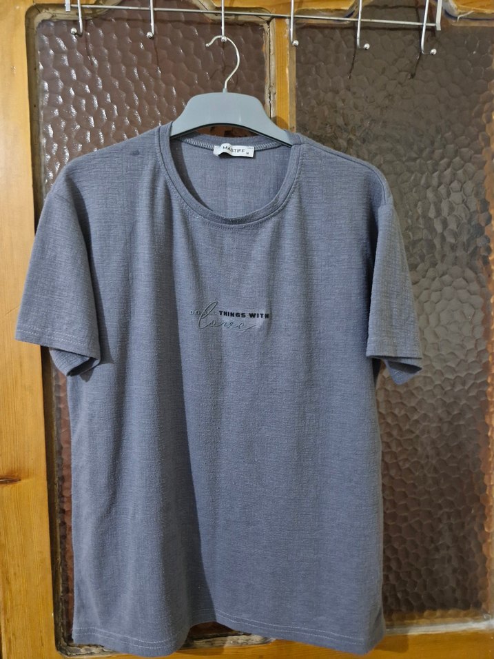 Gri Kısa Kollu Erkek Tişört - Görsel 2