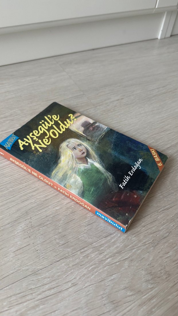 Ayşegül'e Ne Oldu? - Fatih Erdoğan - Görsel 2