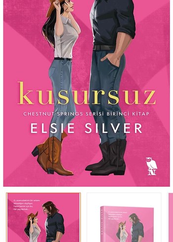 Kusursuz - Chestnut Springs Serisi 1