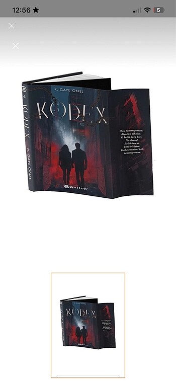 Kodex ciltli