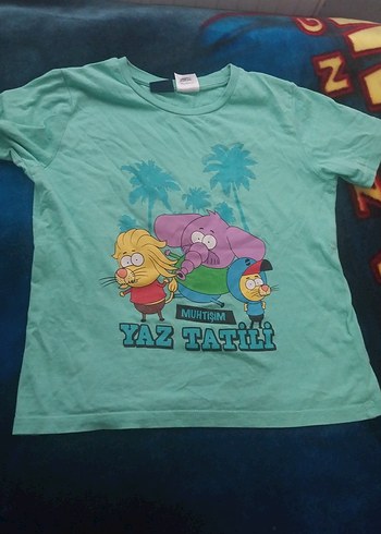 lcwaikiki 5 6  yaş uyumlu kral şakir ,örümcek adam desenli - Görsel 6