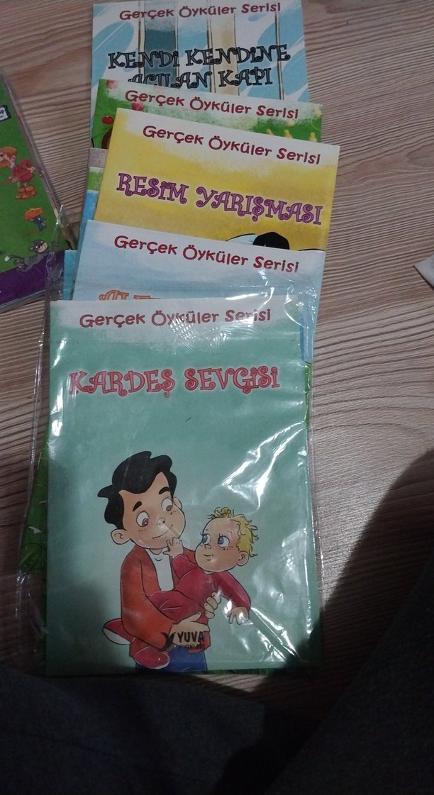 Gerçek Öyküler Serisi: Kardeş Sevgisi Çocuk Kitabı - Görsel 2