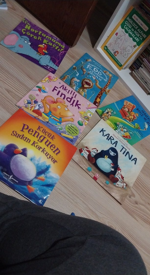 Kara Tina ve is bankasi Çocuk Kitapları - Görsel 2