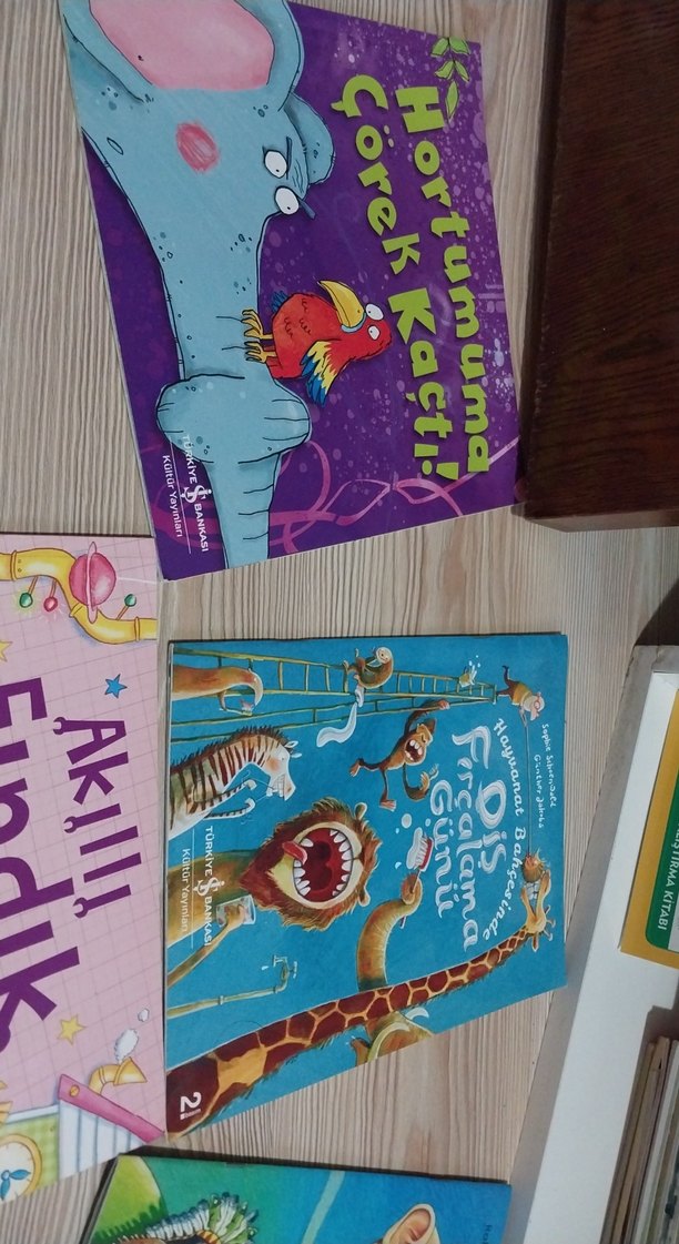 Kara Tina ve is bankasi Çocuk Kitapları - Görsel 4