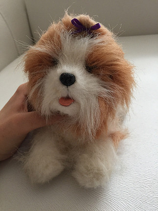universal Beden Köpekçik