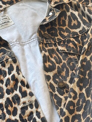s Beden çeşitli Renk Pull&Bear leopar kot ceket