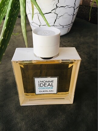 Guerlain L'Homme İdeal Cologne 100 ml