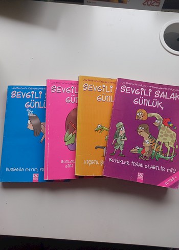 SEVGİLİ SALAK GÜNLÜK
