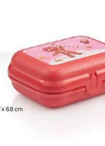 Tupperware mini istiridye kurabiye - Görsel 2